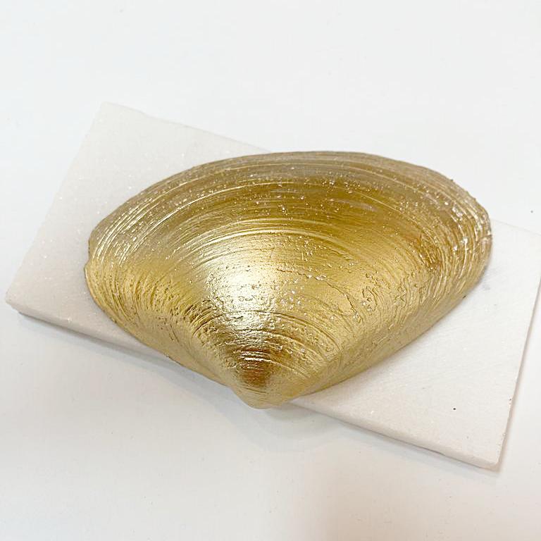 Sea Turtle Clam Shell Ring Dish Ana Razavi