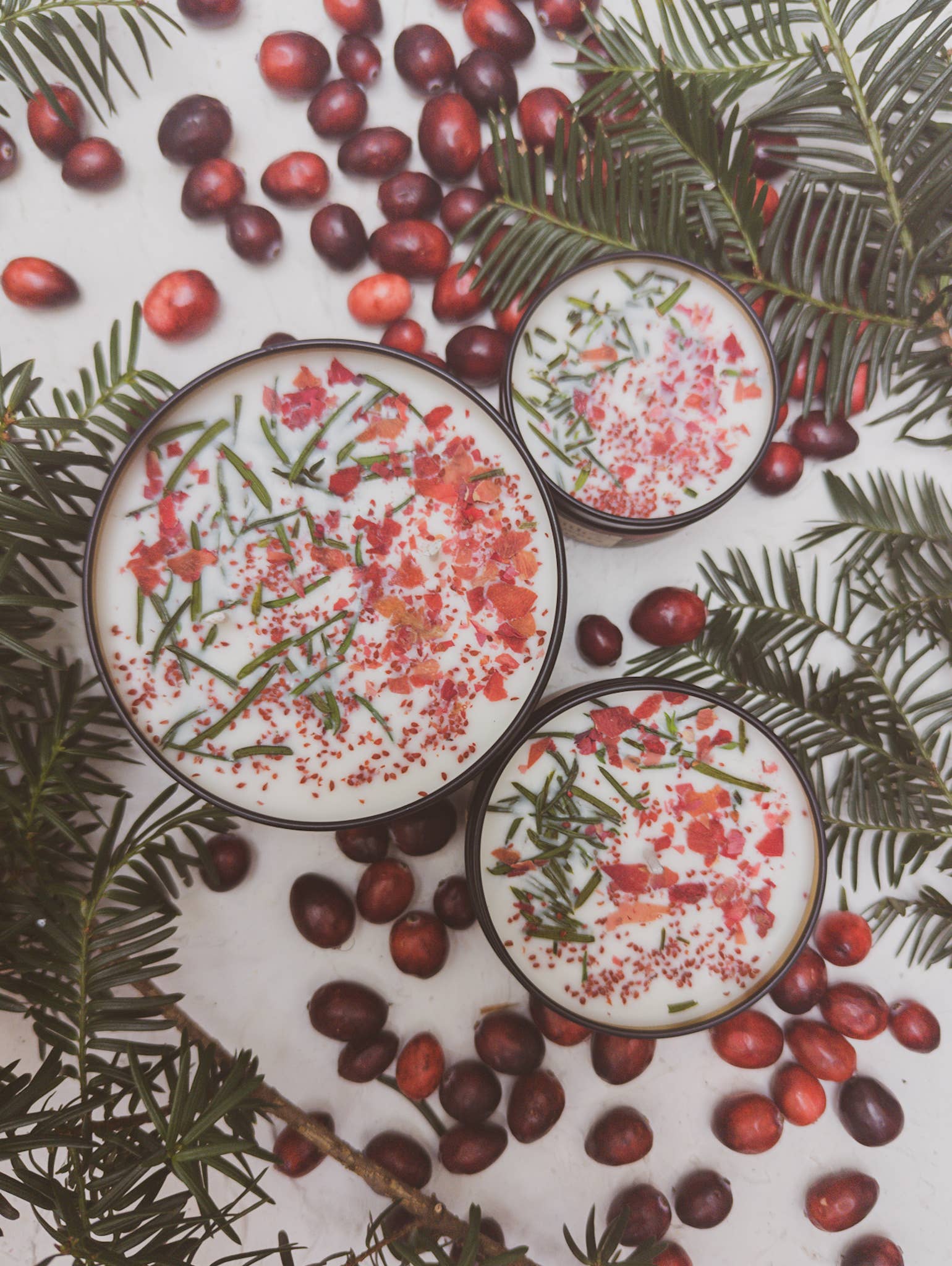 Gather Here Cranberry Pine Soy Tin Candle Rose Petal Yew