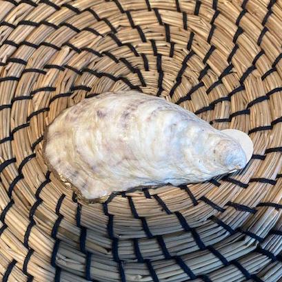 Decoupage Oyster Shell Jewelry Dish Ana Razavi