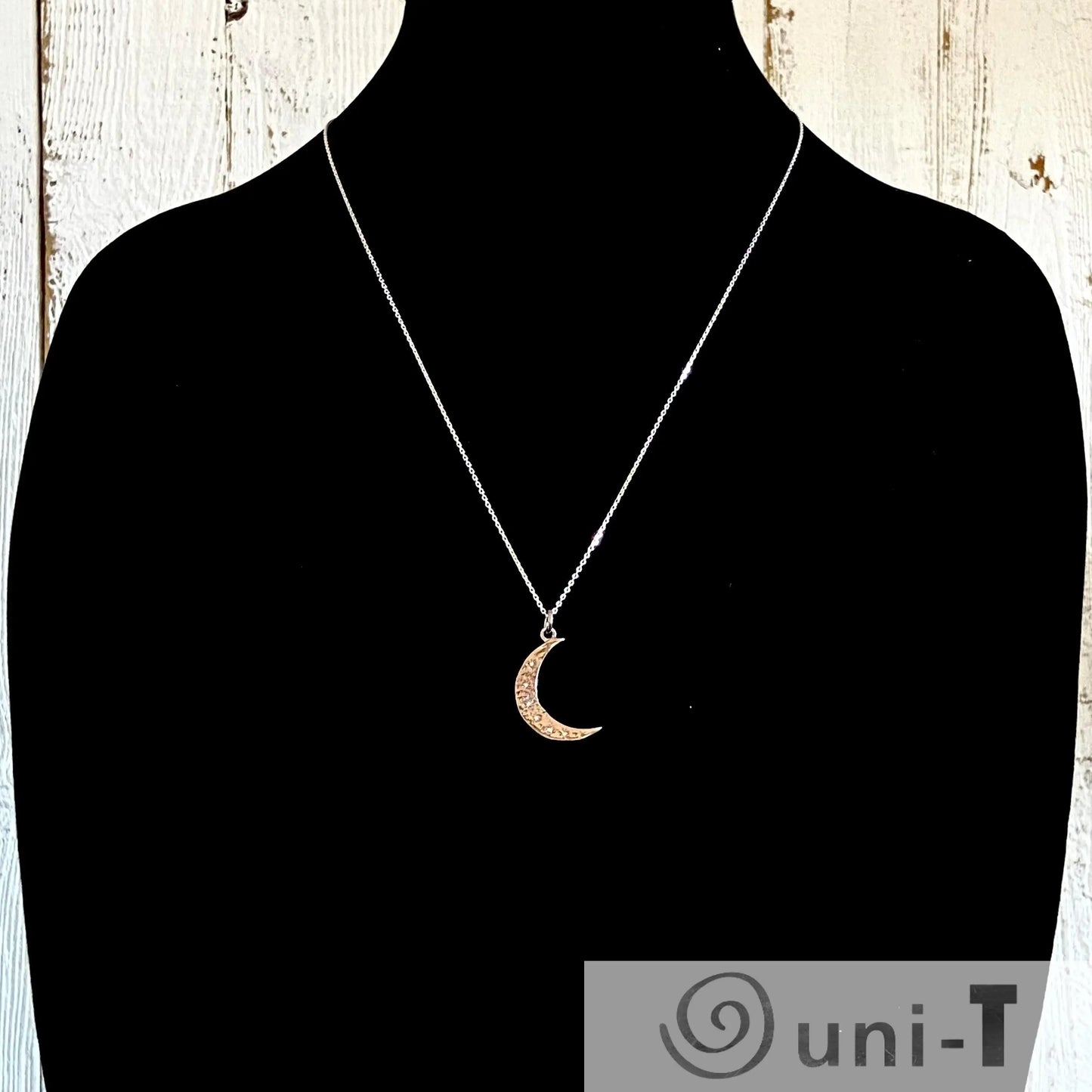 Adjustable Moon Sterling Silver Necklace Janine Gerade
