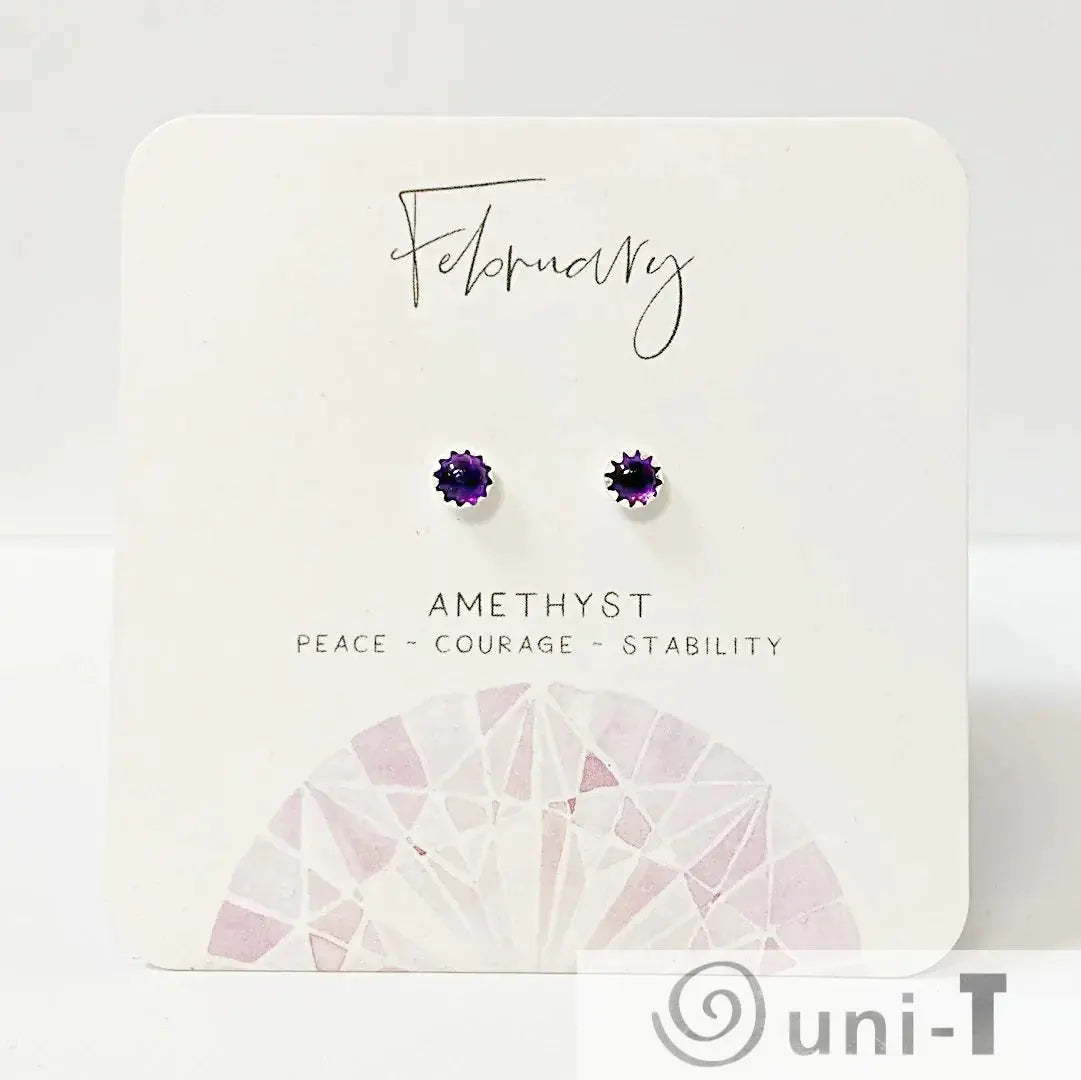 Amethyst Stud Earrings, Birthday Gemstone - February Janine Gerade