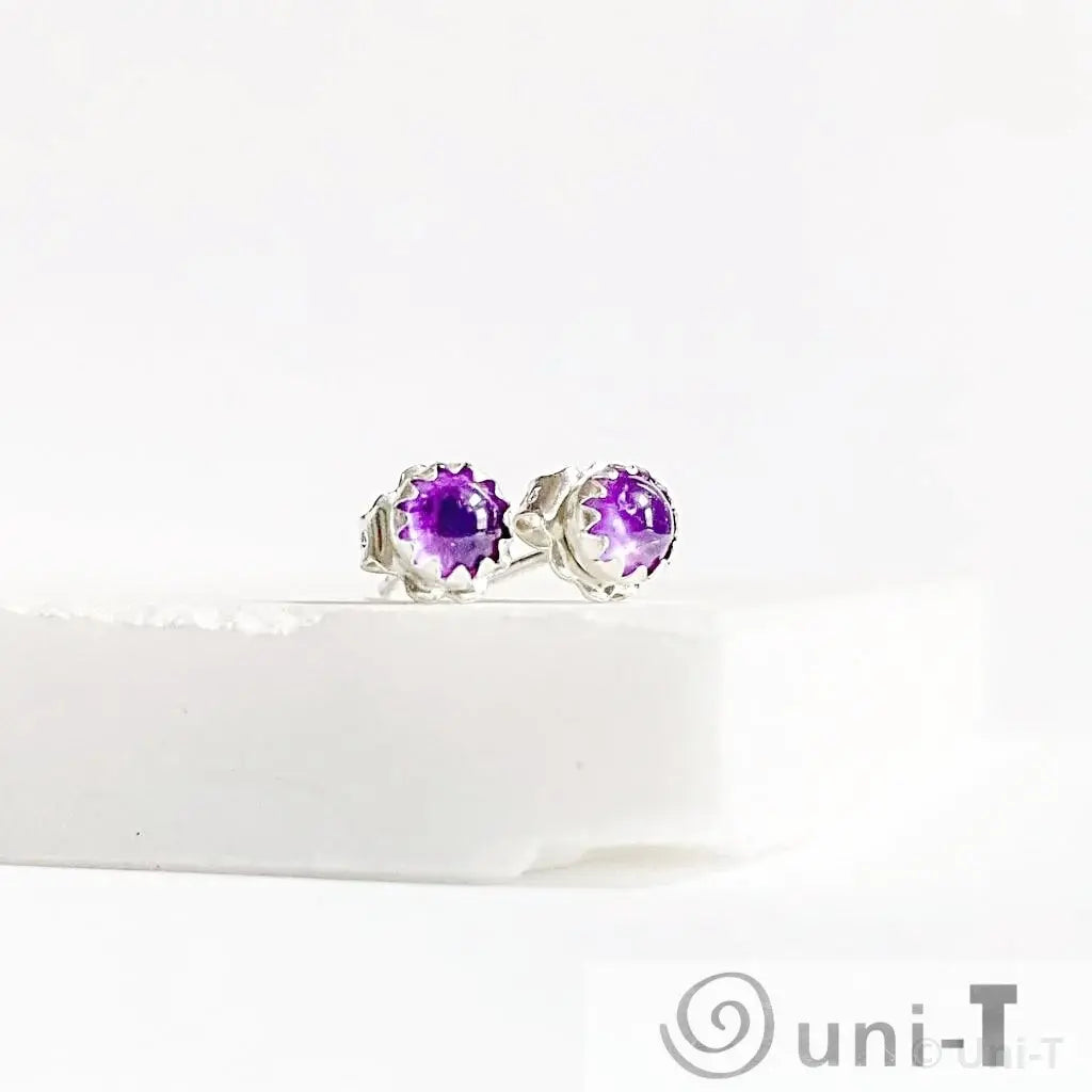 Amethyst Stud Earrings, Birthday Gemstone - February Janine Gerade