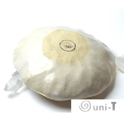 Bermuda Oyster Ring Dish, Chakra Bowl, 22k Gold Ceramic Bowl Liza Curtis