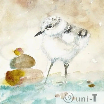 Calidris - Giclee Print Jodie Apeseche