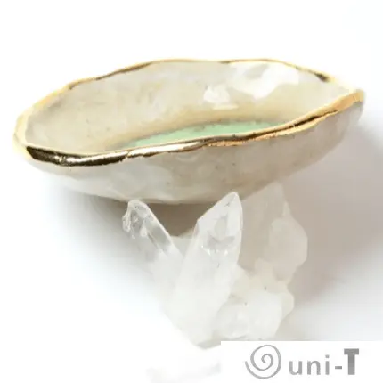 Chrysoprase Oyster Ring Dish, Chakra Bowl, 22k Gold Ceramic Bowl Liza Curtis