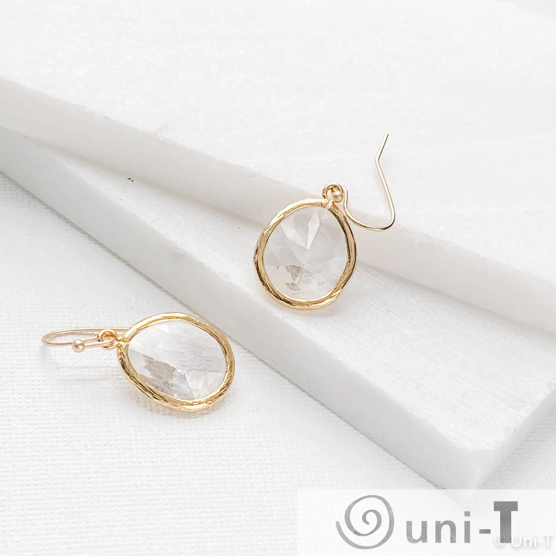 Clear Gem Drop Earrings Lisa Trachtman