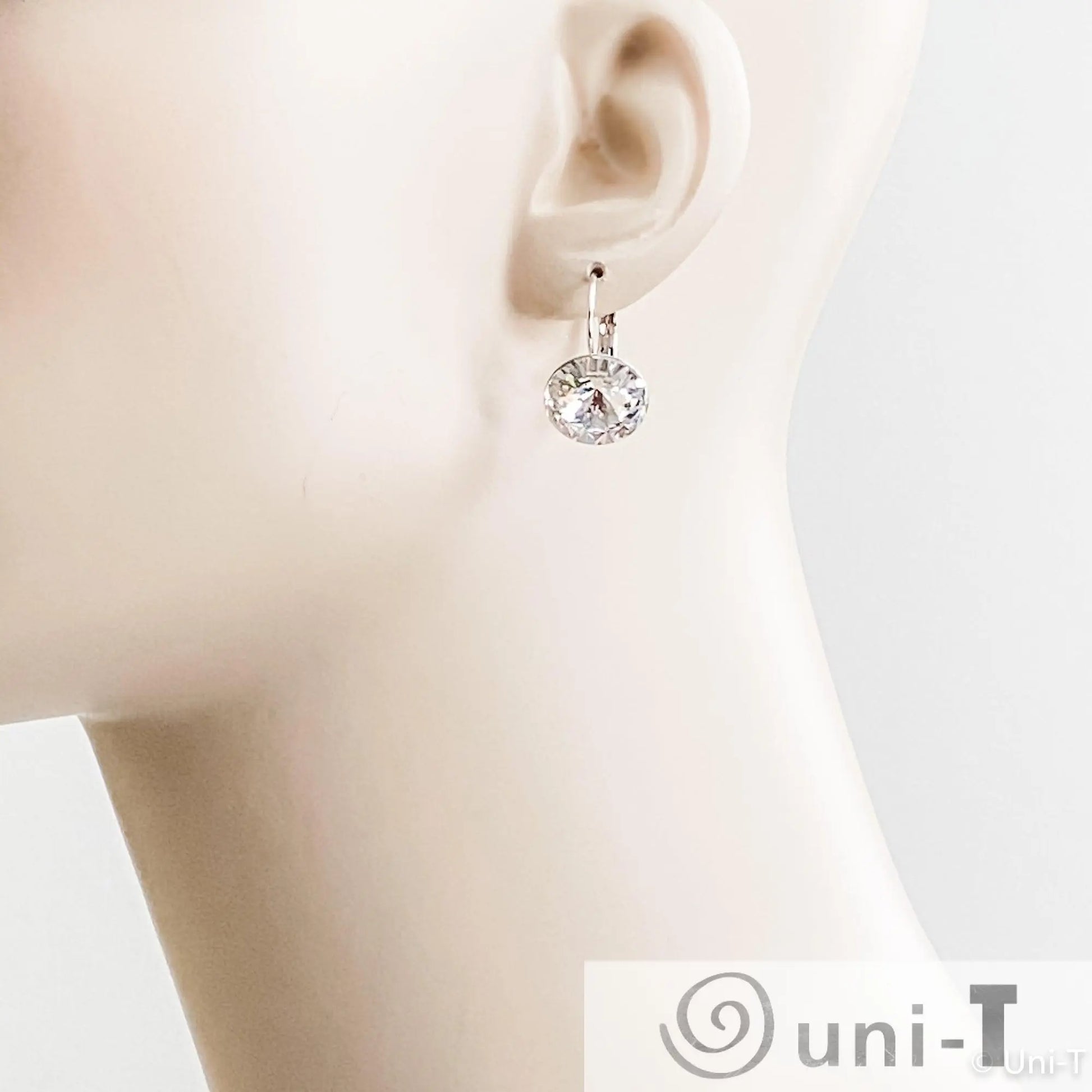 Crystal Earrings Lisa Trachtman