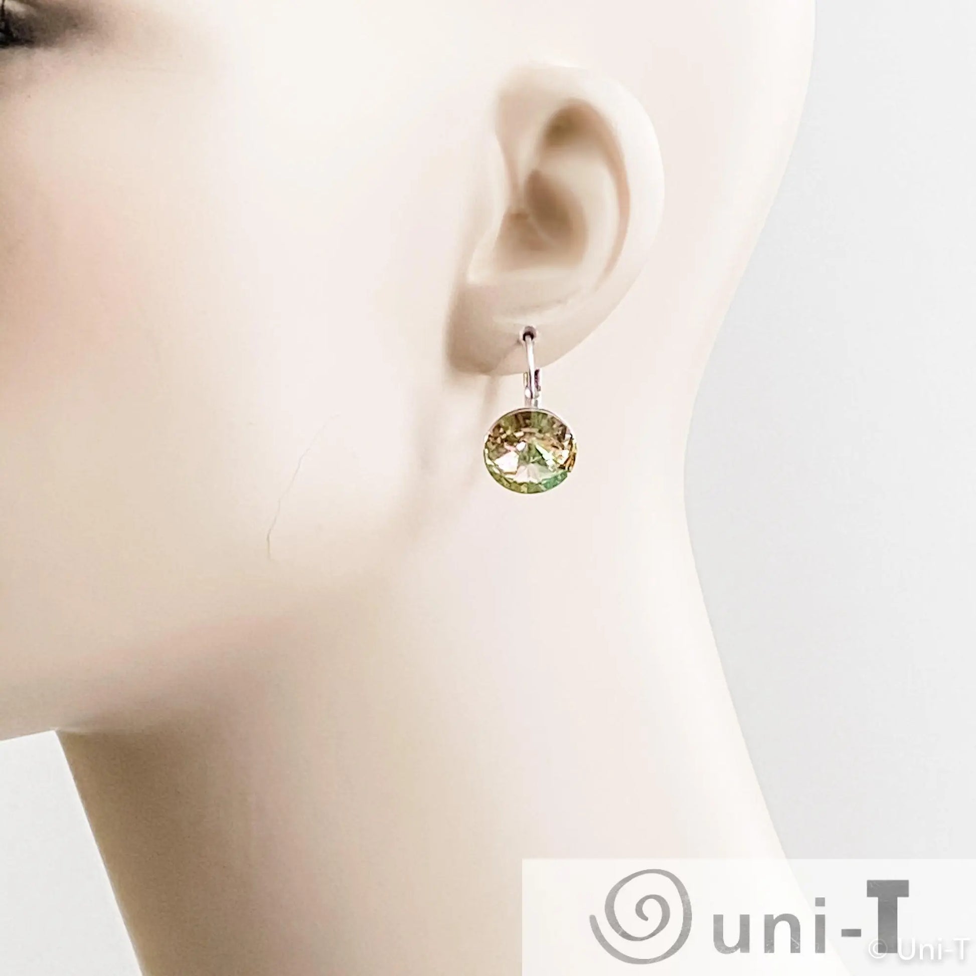 Crystal Earrings Lisa Trachtman