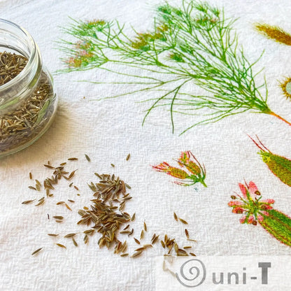 Cumin Flour Sack Towels Ityng Deng