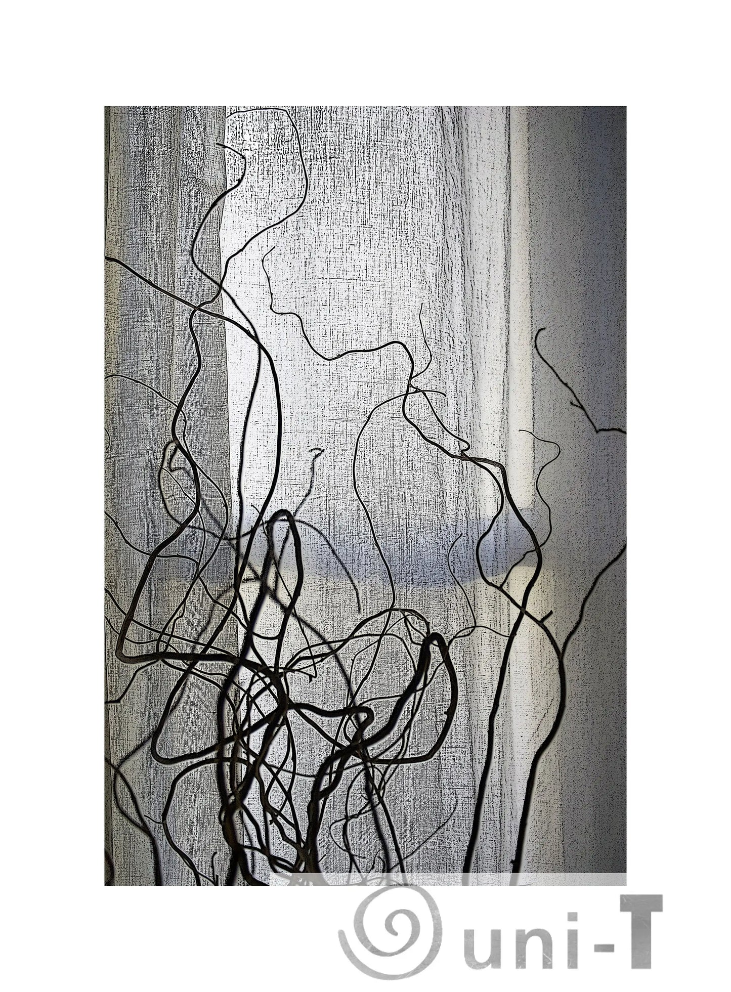 Dawn Light Martha Paynter