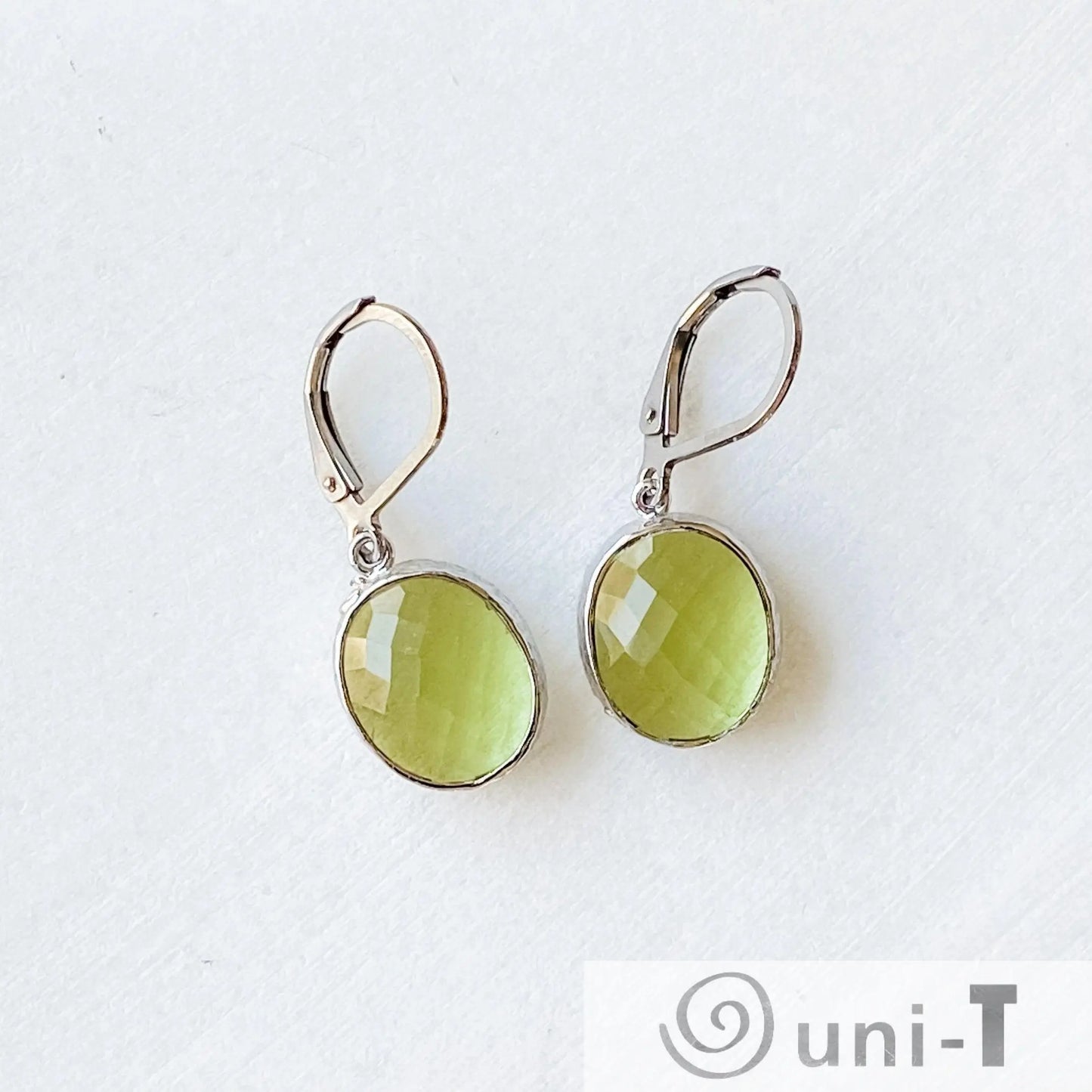 Faceted Glass Earrings with Surgical Steel Ear Wire Kathy James