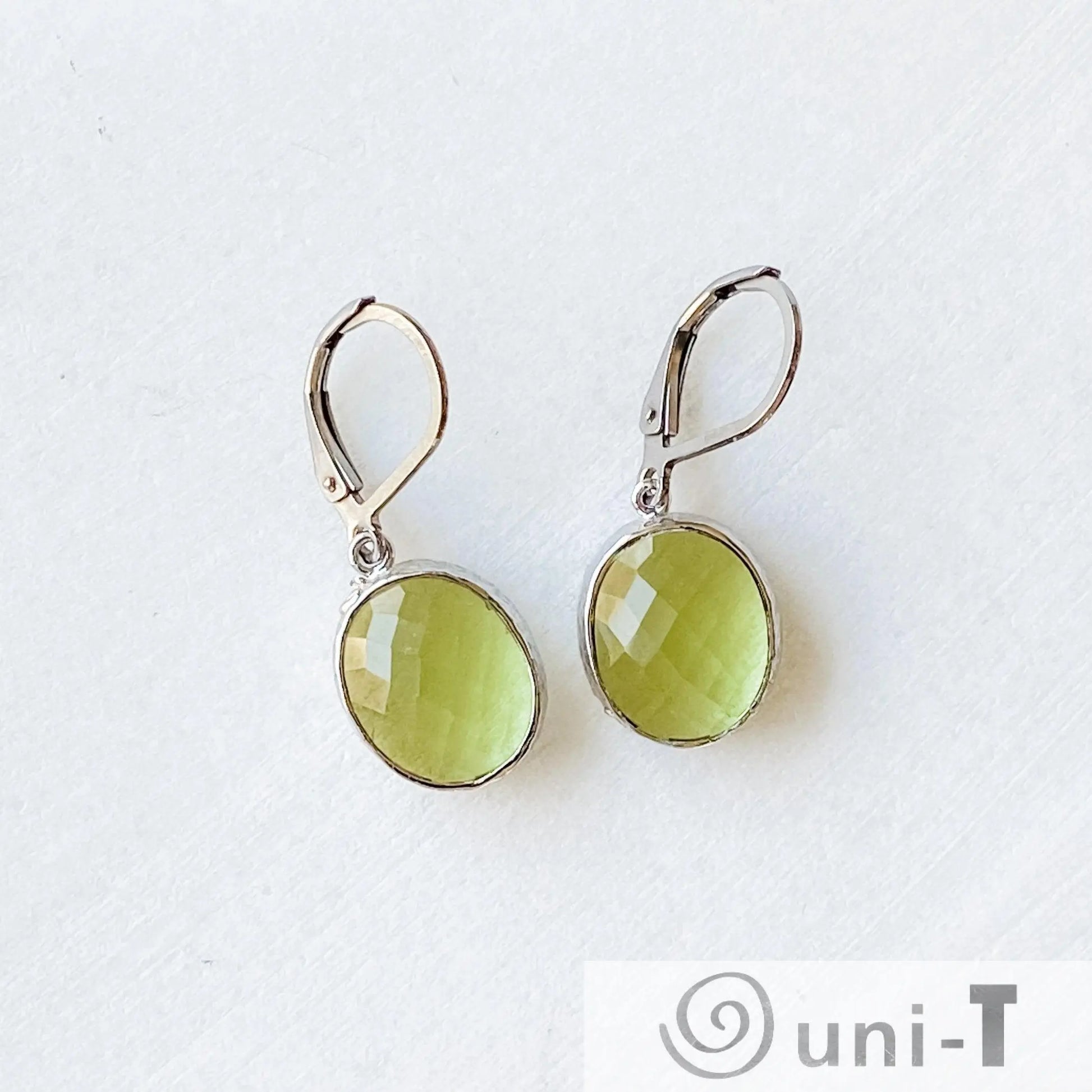 Faceted Glass Earrings with Surgical Steel Ear Wire Kathy James