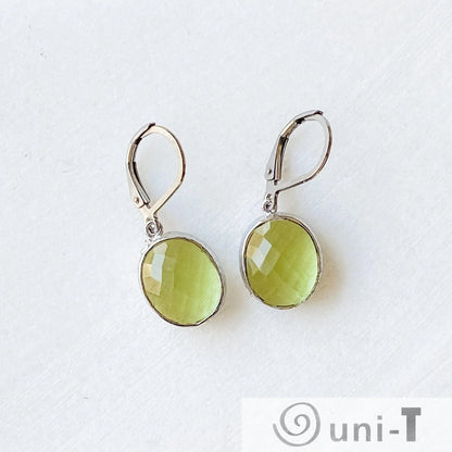 Faceted Glass Earrings with Surgical Steel Ear Wire Kathy James