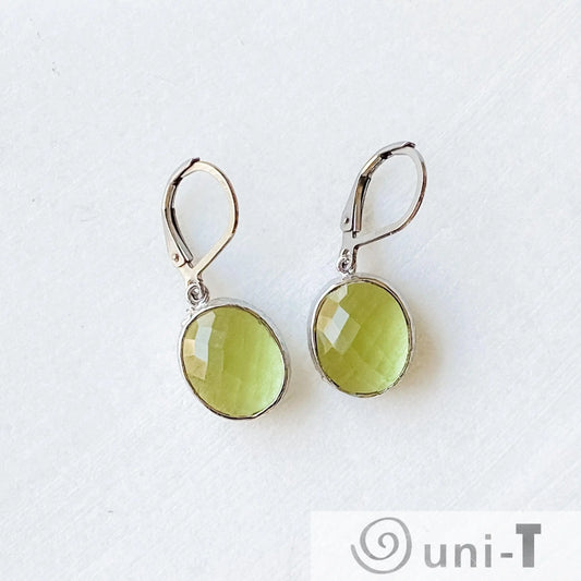 Faceted Glass Earrings with Surgical Steel Ear Wire Kathy James