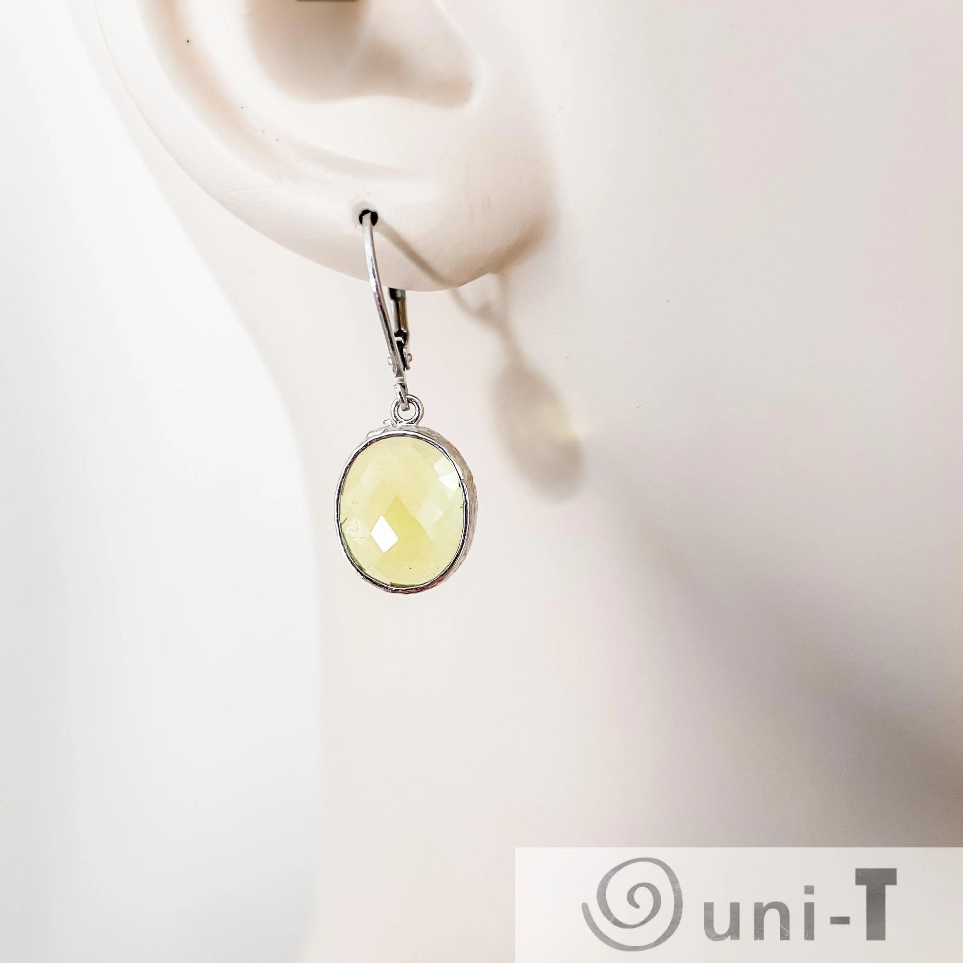 Faceted Glass Earrings with Surgical Steel Ear Wire Kathy James