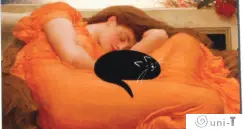 Funny Cat Magnets Mitra Farmand