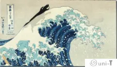 Funny Cat Magnets Mitra Farmand