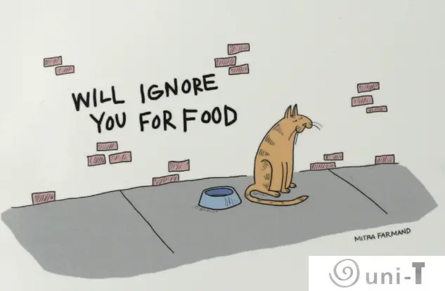 Funny Cat Magnets Mitra Farmand