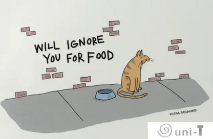 Funny Cat Magnets Mitra Farmand