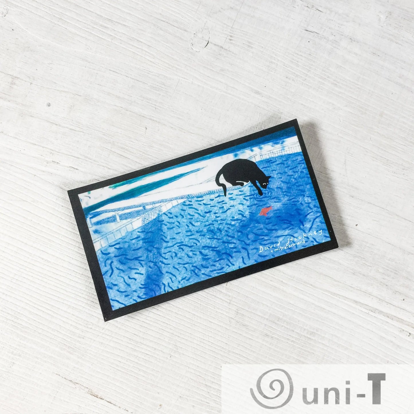 Funny Cat Magnets Mitra Farmand