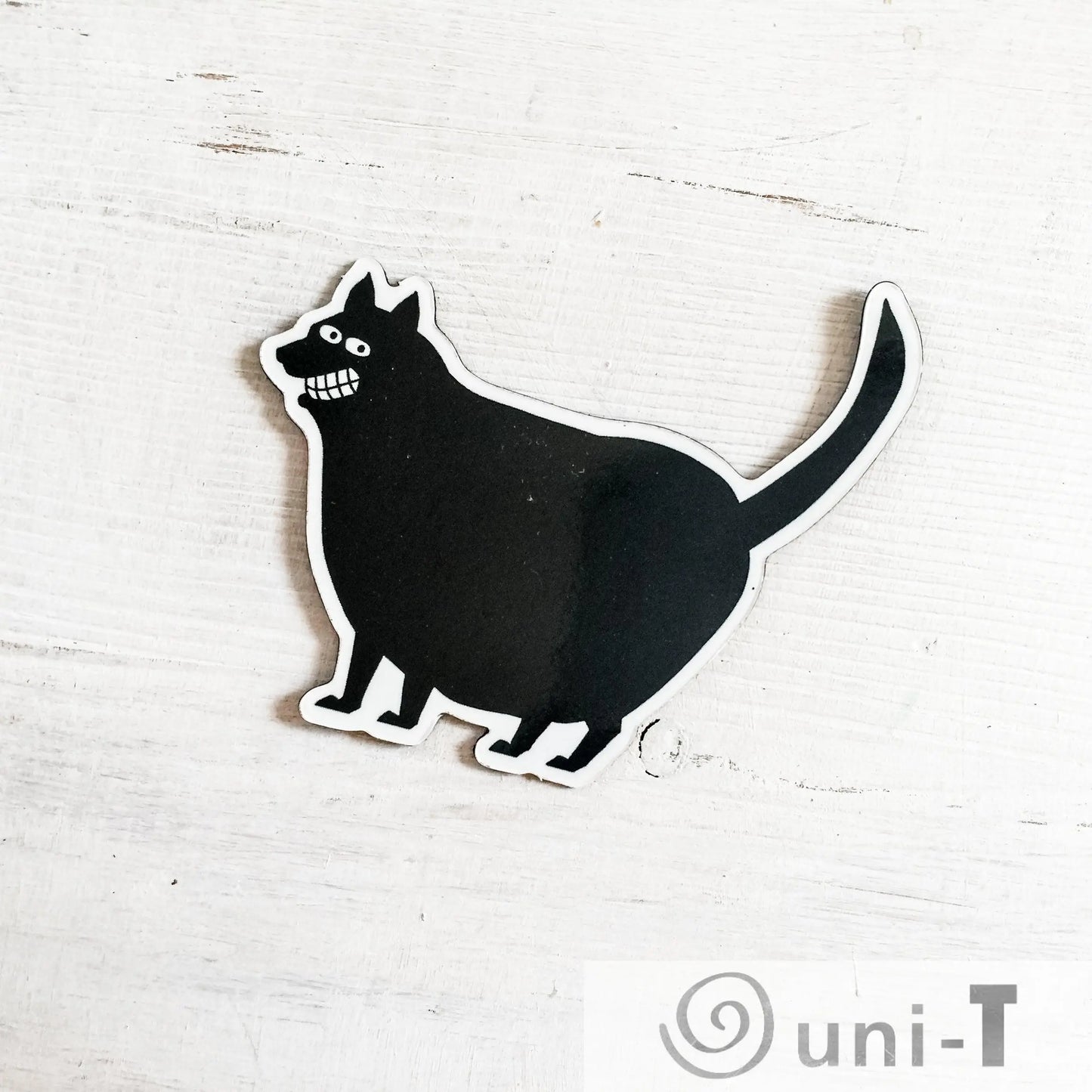 Funny Cat Magnets Mitra Farmand