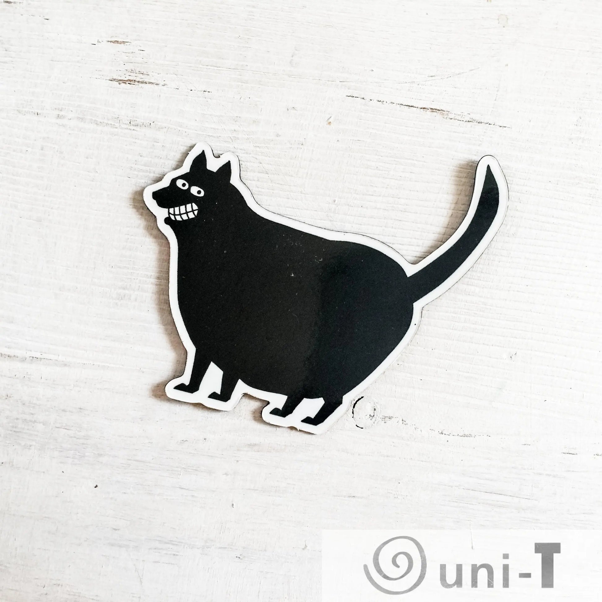 Funny Cat Magnets Mitra Farmand