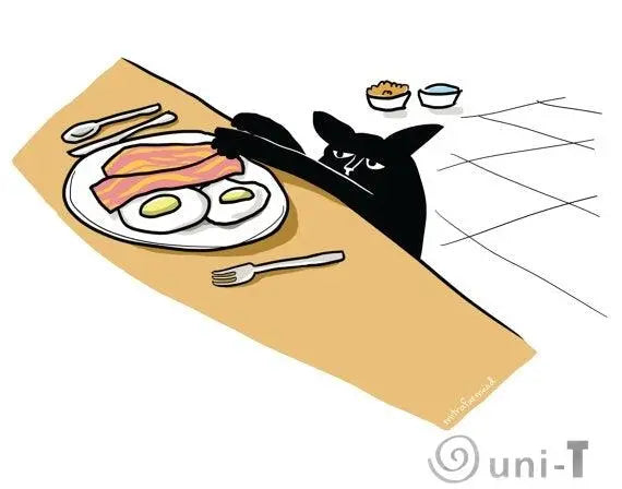 Funny Postcards Mitra Farmand