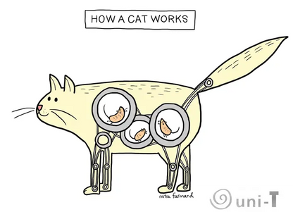 Funny Postcards Mitra Farmand