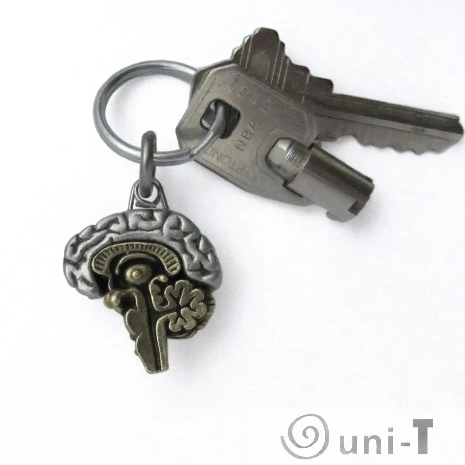 Human Brain Keychains - Anatomical Brain Keychains shown with house keys, featuring a detailed metallic brain model ideal for medical gifts.