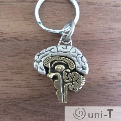 Close-up of Human Brain Keychains - Anatomical Brain Keychains with silver and bronze finish, perfect for students and educators in healthcare.