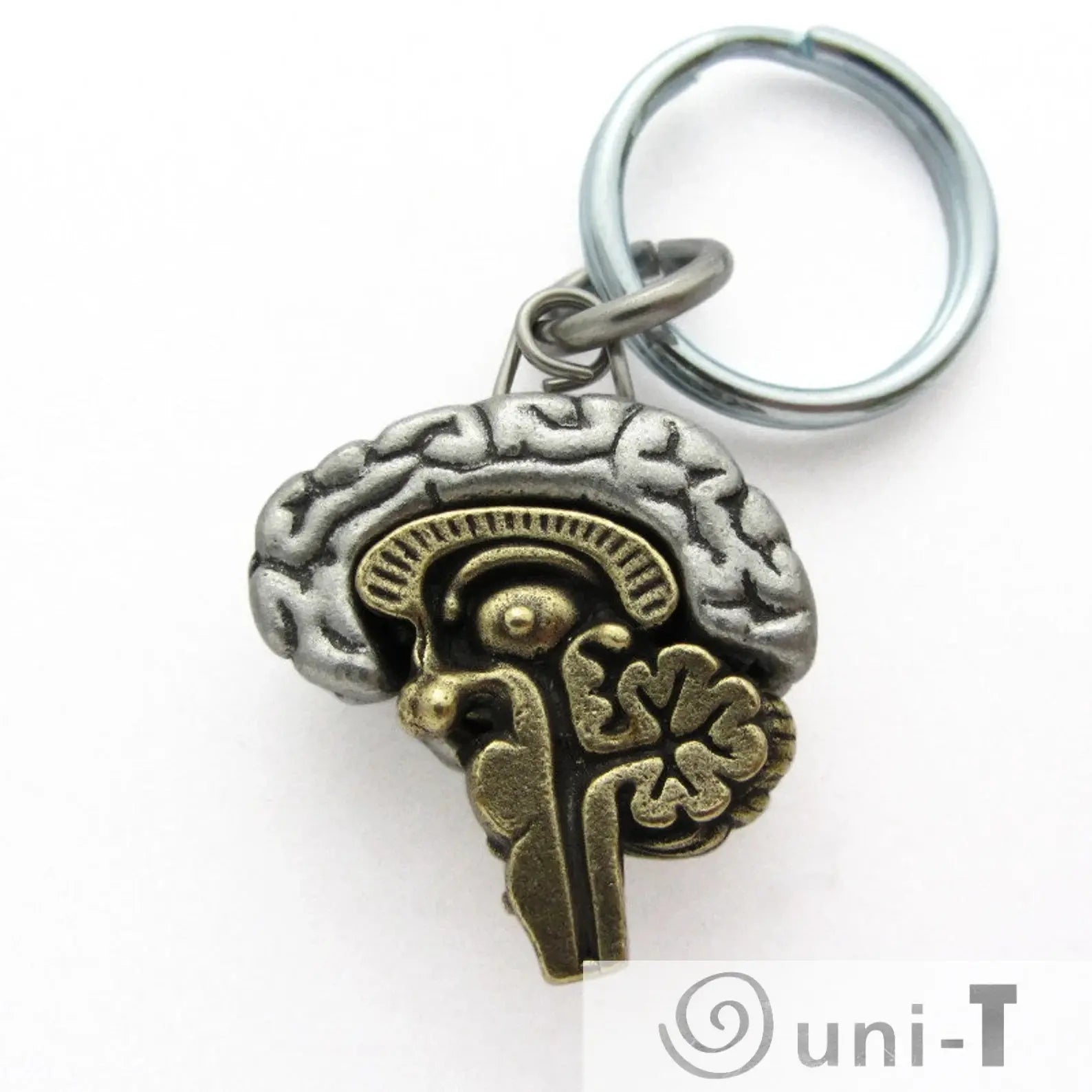 Detailed Human Brain Keychains - Anatomical Brain Keychains with realistic brain structure, ideal small gift for anatomy enthusiasts and professionals.