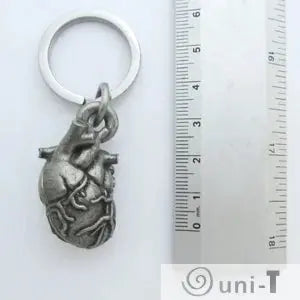 Anatomical Heart Keychain next to ruler for size reference, compact and detailed design for anatomy-themed small gifts.