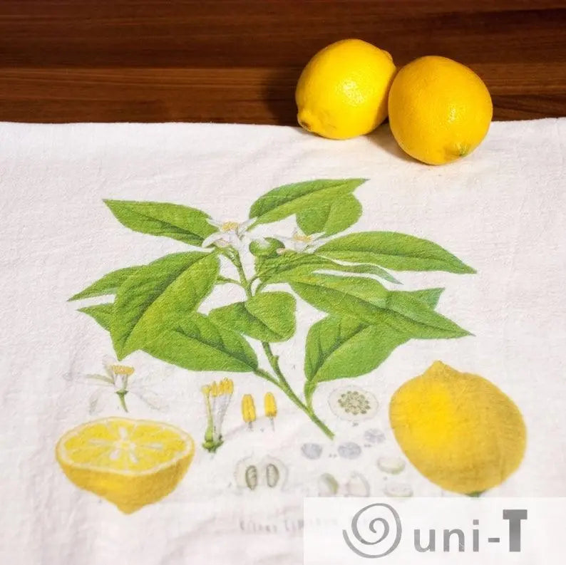 Lemon Gift Basket Ityng Deng