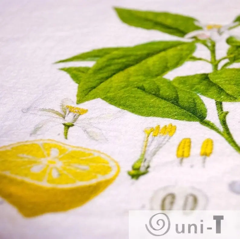 Lemon Gift Basket Ityng Deng