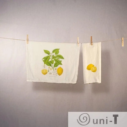 Lemon Gift Basket Ityng Deng