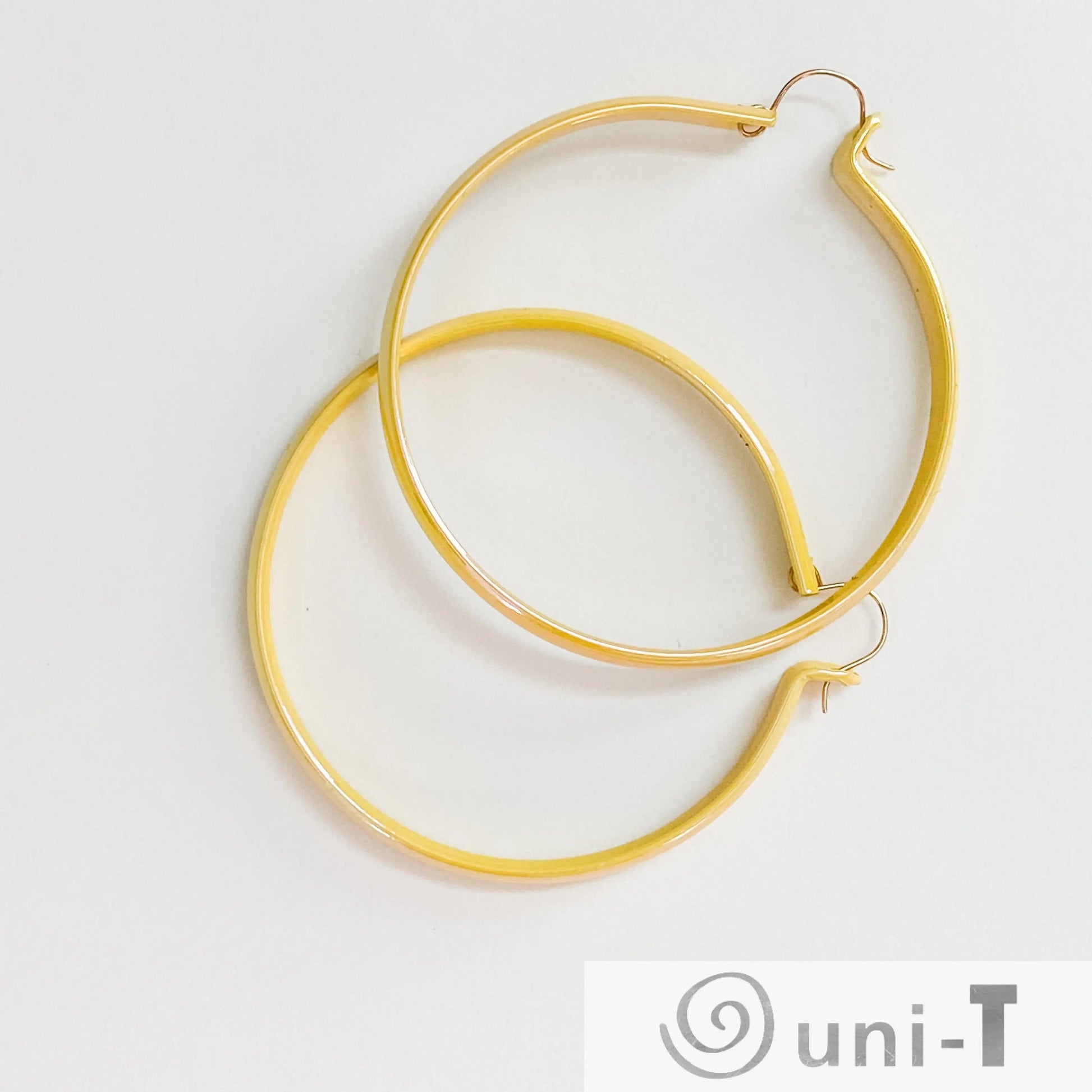 Medium Mod Enamel Hoop Earrings Lisa Trachtman
