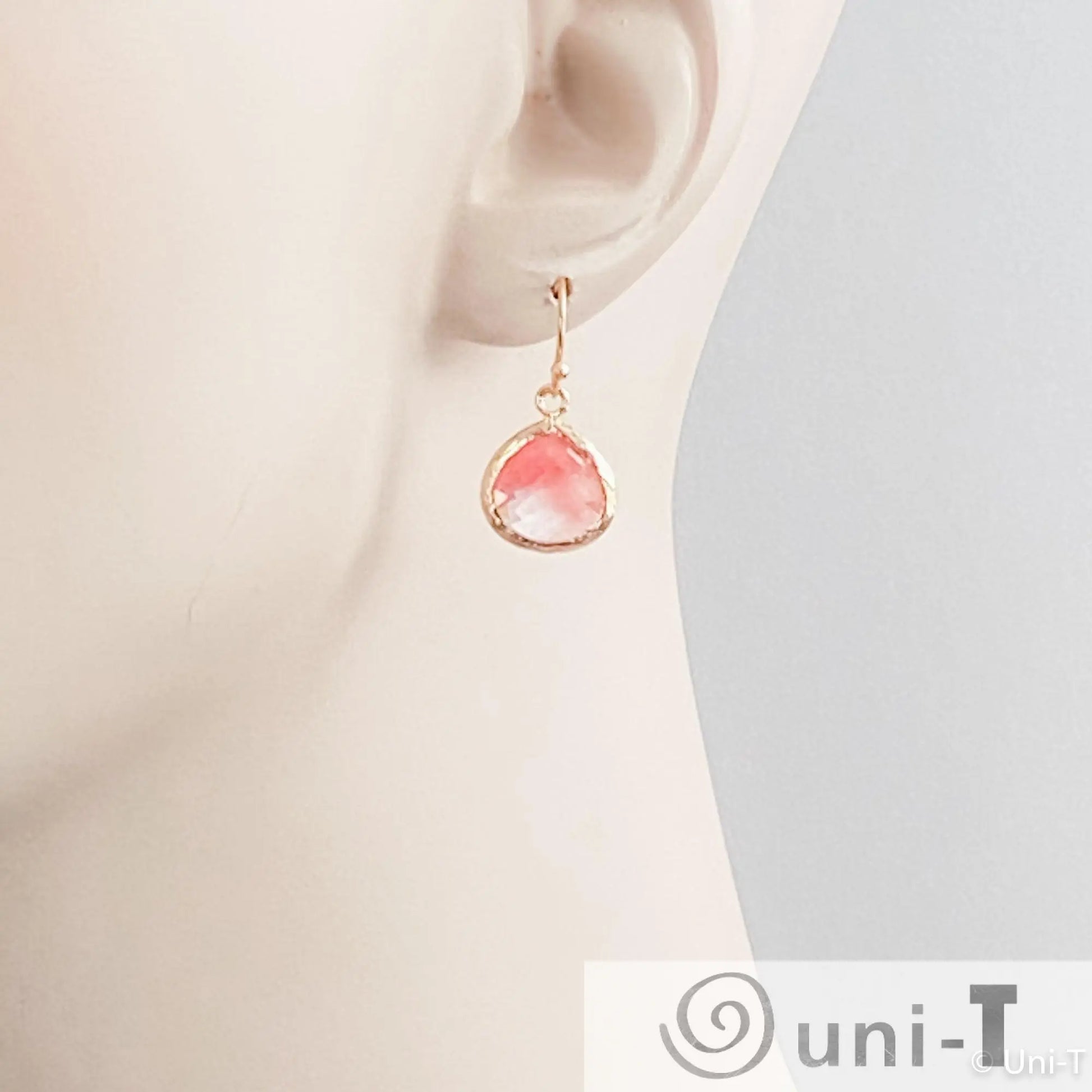 Pink Small Gem Drop Earrings Lisa Trachtman