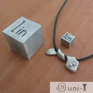 Planarian Pendant Jewelry shown with 1 inch and 1 cm cubes for size reference, highlighting the pendant's compact flatworm design.