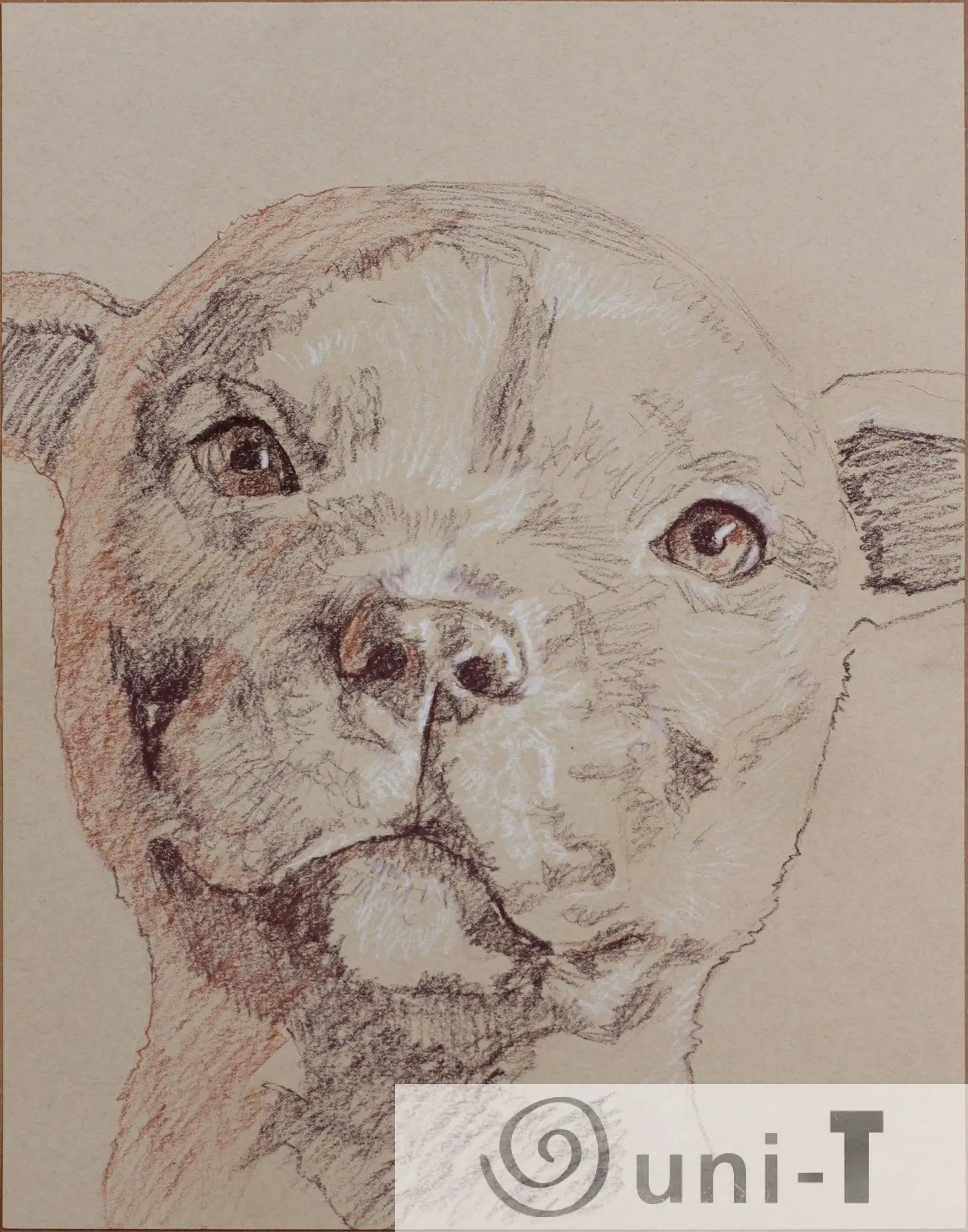 Portrait Sketch 11X14 Jason Cheeseman-Meyer