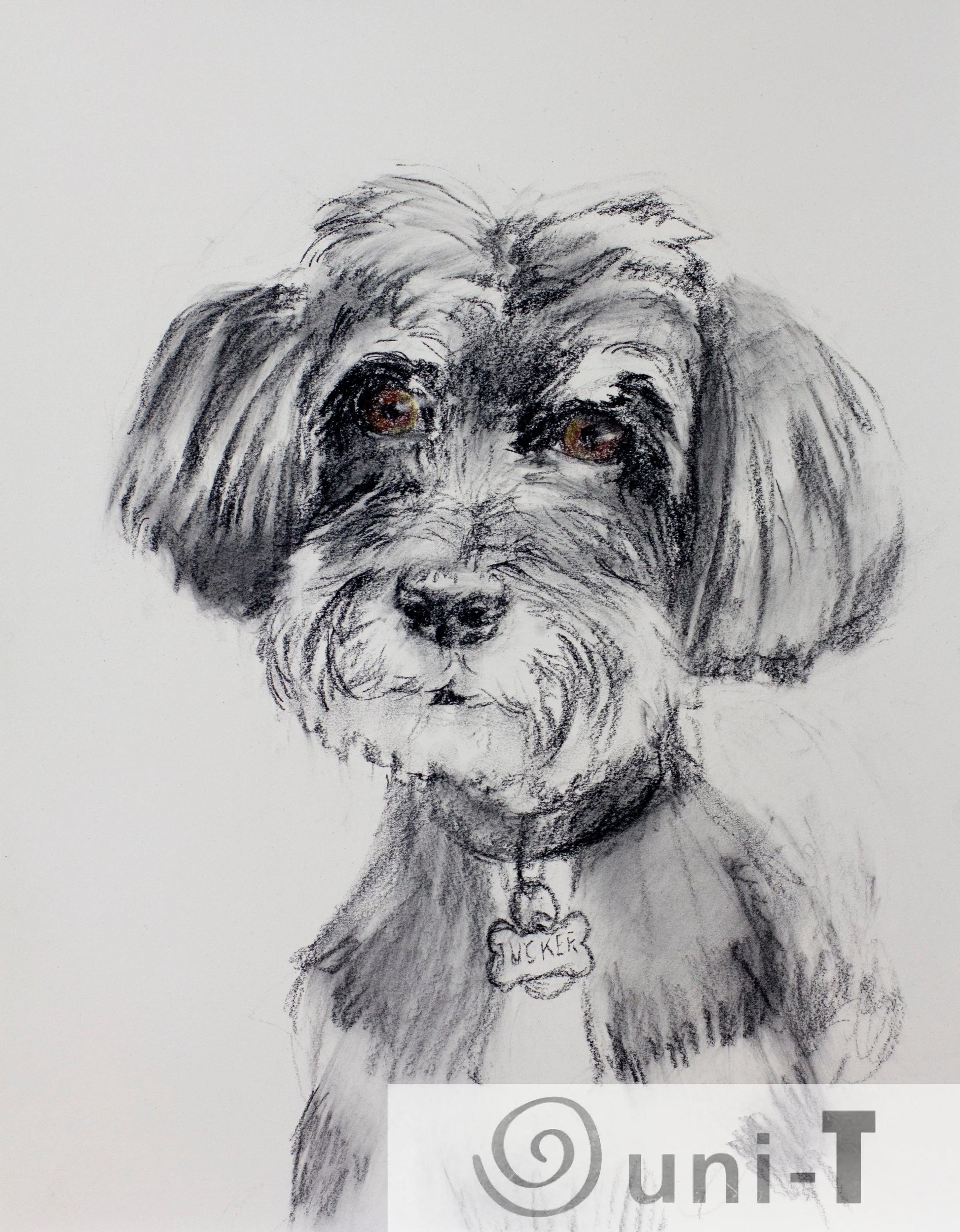 Portrait Sketch 11X14 Jason Cheeseman-Meyer