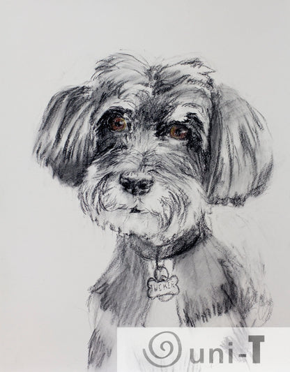 Portrait Sketch 11X14 Jason Cheeseman-Meyer