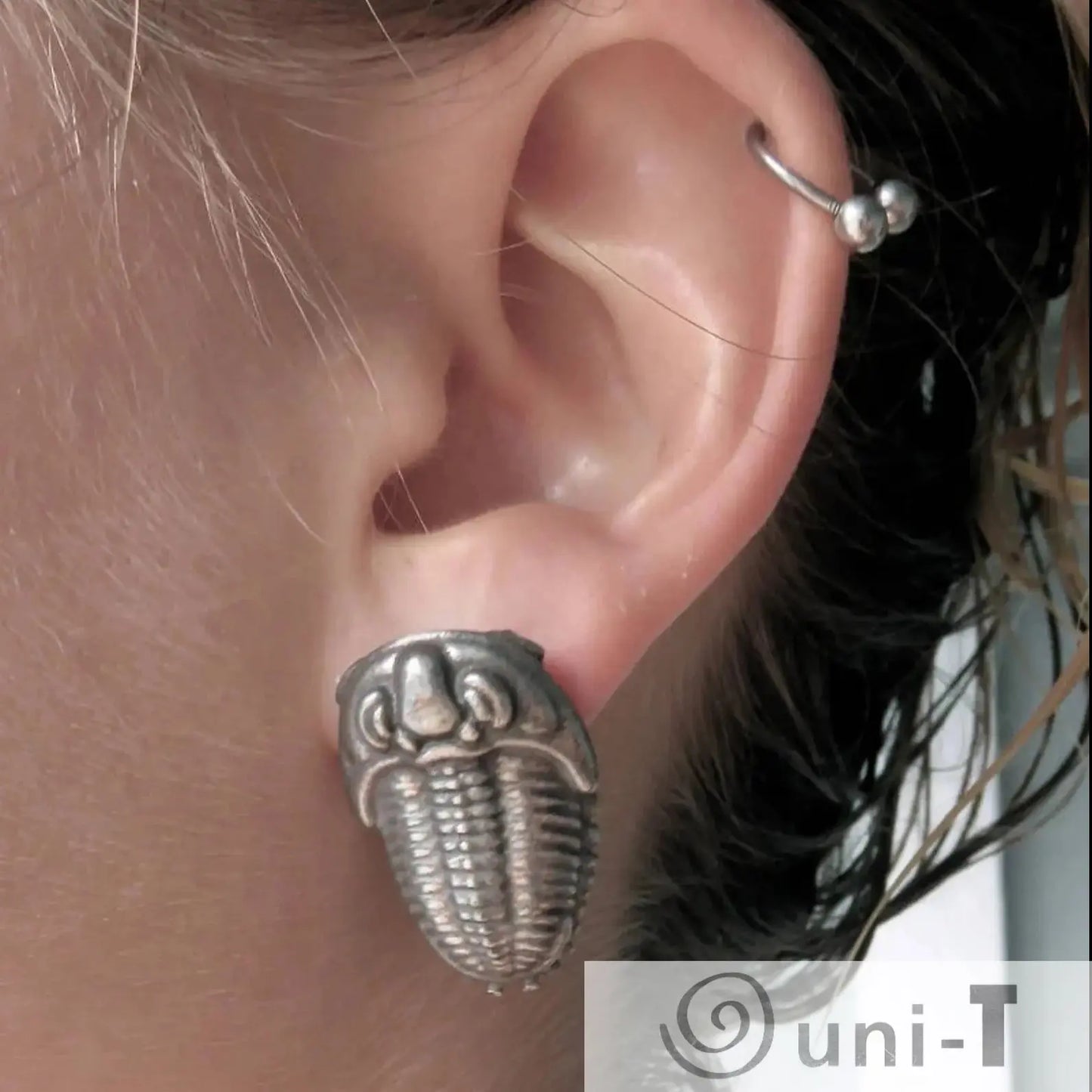 Trilobite earrings jewelry worn on ear, showcasing fossil-inspired design perfect for paleontology and earth science enthusiasts.