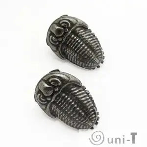 Pair of trilobite earrings jewelry with detailed fossil texture, ideal unique accessories for fossil lovers and science fans.
