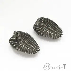 Back view of trilobite earrings jewelry showing fossil underside detail, perfect for fans of invertebrate paleontology accessories.