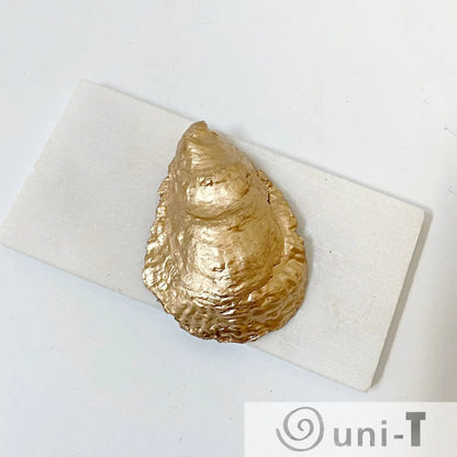 Tropical Leaf Decoupage Oyster Shell Jewelry Dish Ana Razavi