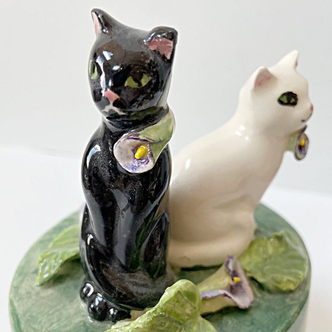 Black & White Cats on Box Nooshin Manoochehri